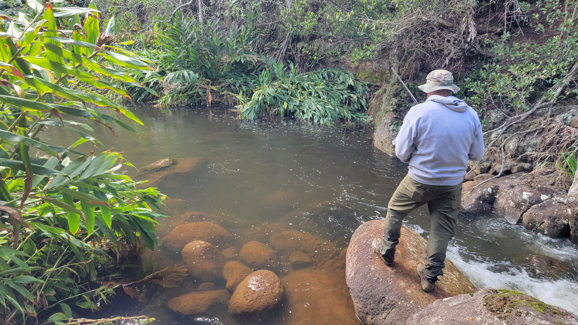 Dave fishing Kauaikinana stream