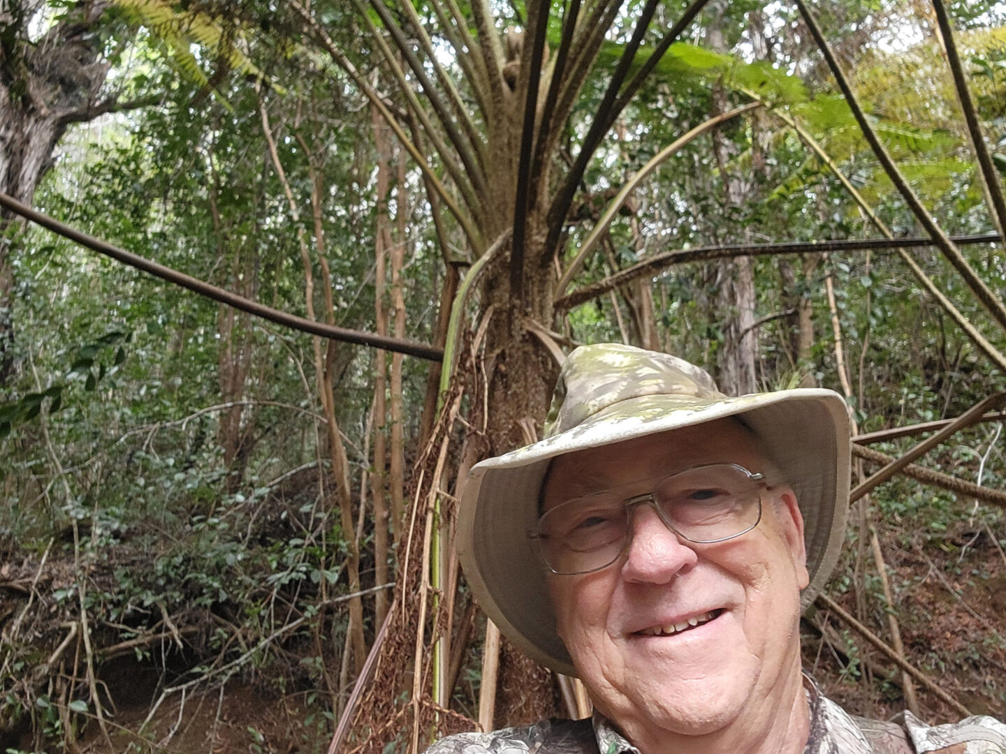 Deane, Australian Tree Ferns in the background