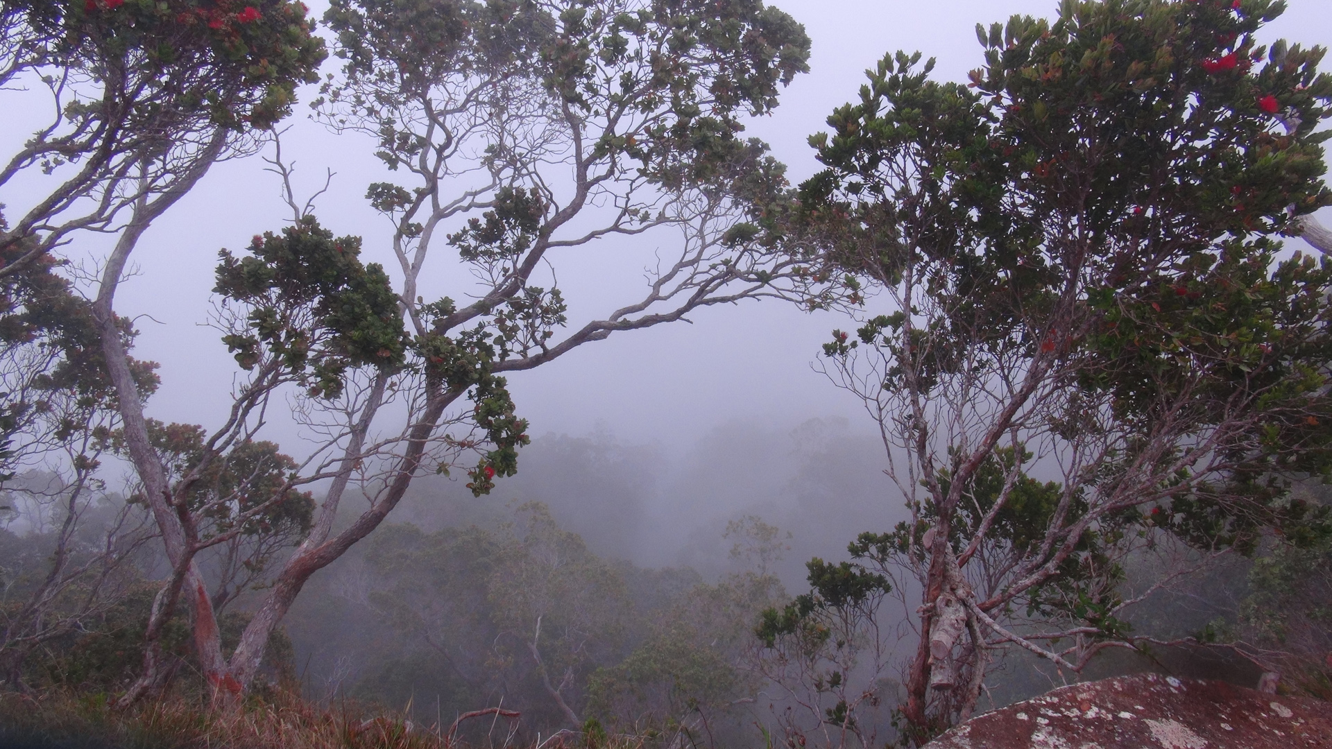 Kalalau Valley, fog rolling in