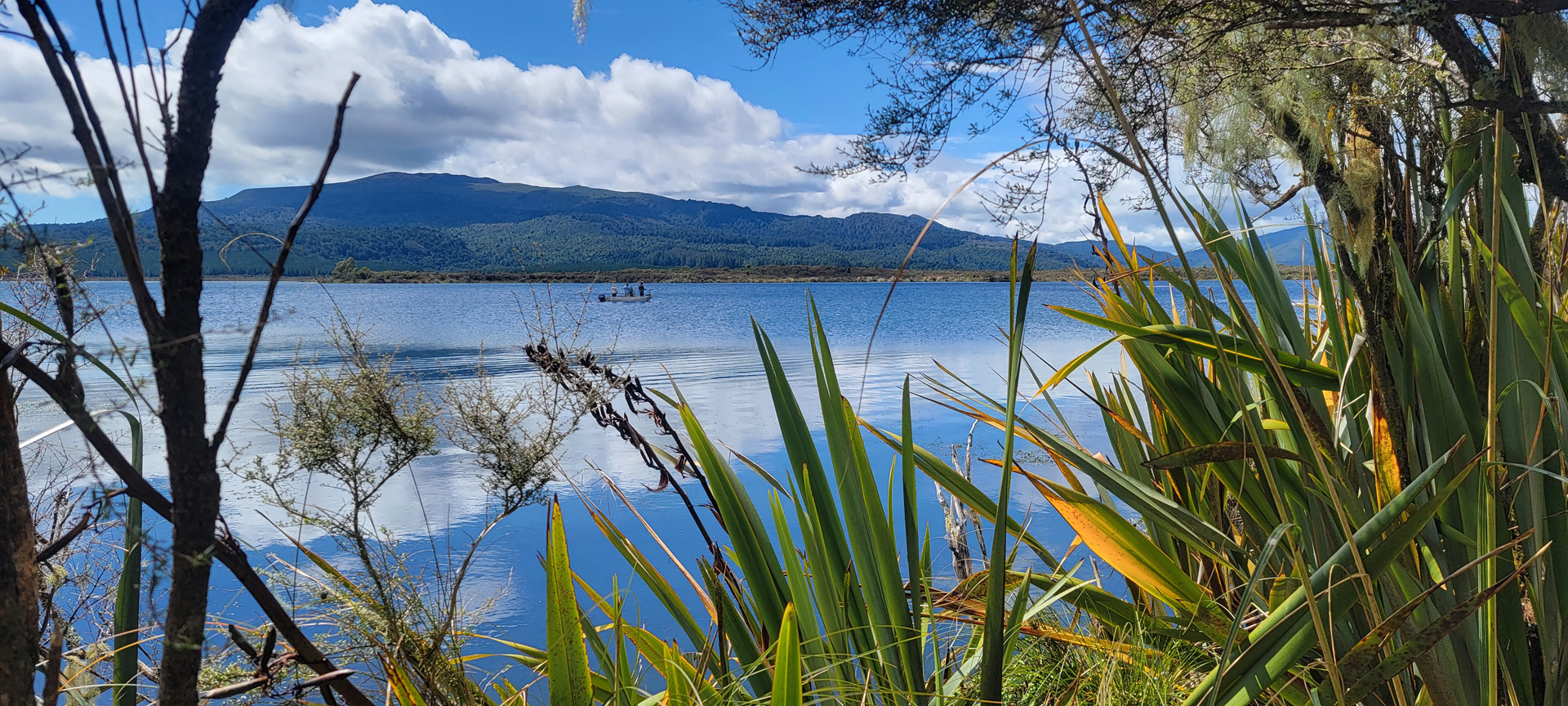 Lake Otamargakau, NZ