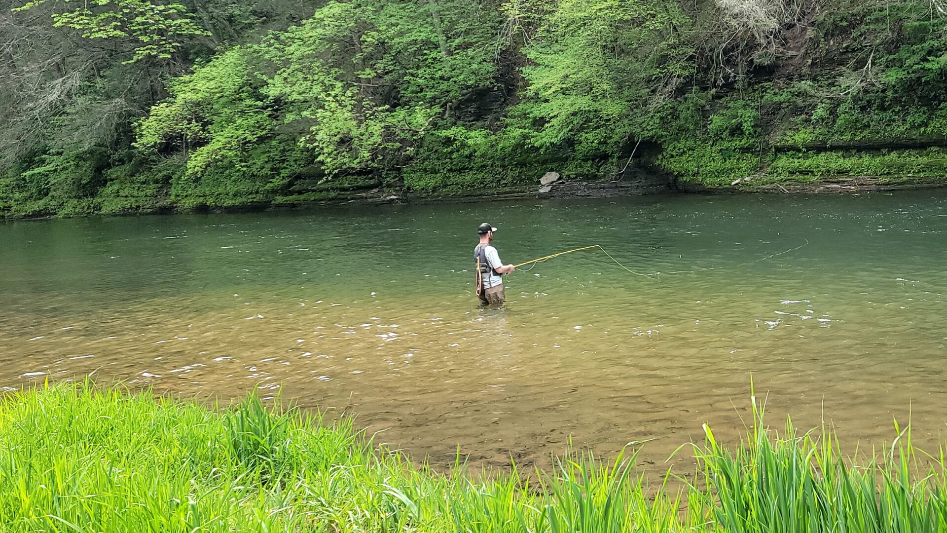 Fisherman on Pine Creek 