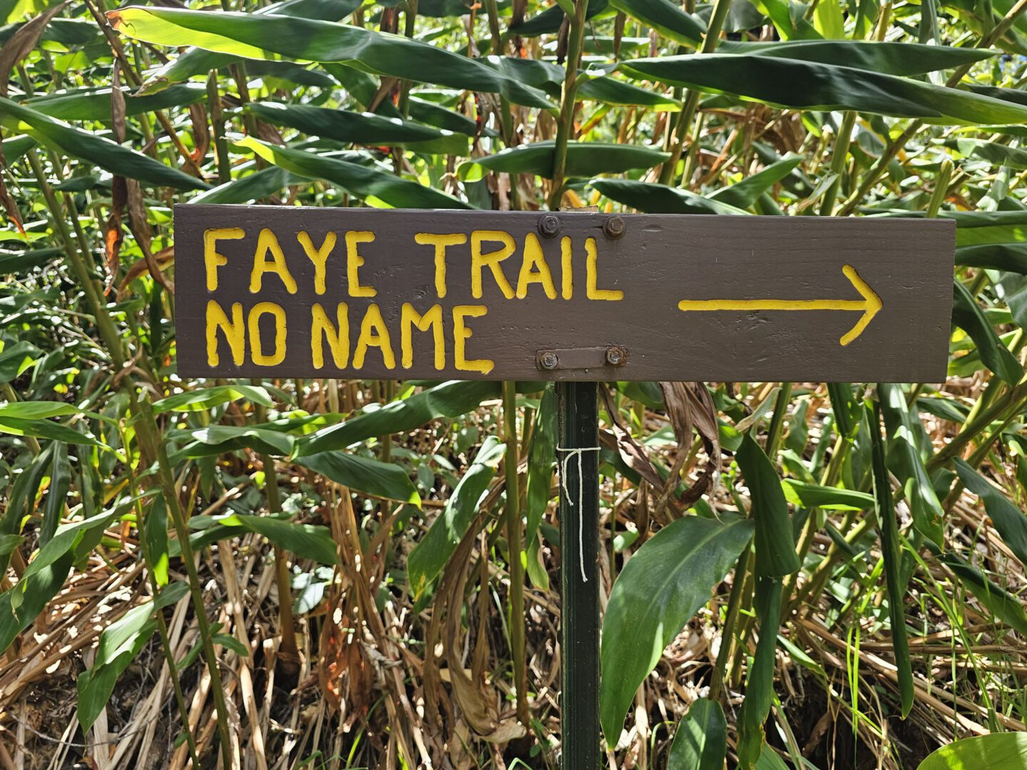 Faye Trail Sign